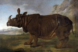 Clara das Rhinoceros Clara das Rhinoceros