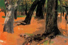 Landschaft Landschaft