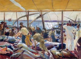 Der Thunfisch fangen Der Thunfisch fangen