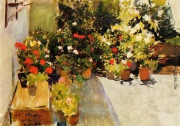 A Rooftop mit Blumen A Rooftop mit Blumen