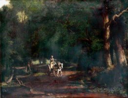 Landschaft Landschaft