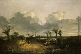 Straße mit Pollards Straße mit Pollards