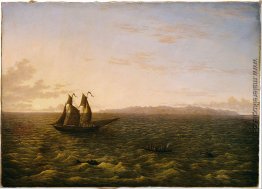 Die Insel Madeira Die Insel Madeira