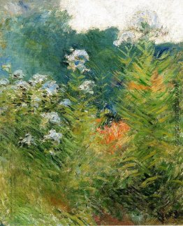 Wildblumen Wildblumen