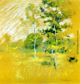 Landschaft Landschaft