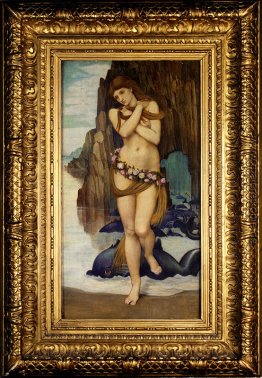 Venus steigt aus dem Meer Venus steigt aus dem Meer