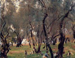 Die Olive Grove Die Olive Grove
