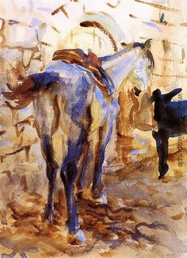 Sattel-Pferd, Palästina Sattel-Pferd, Palästina