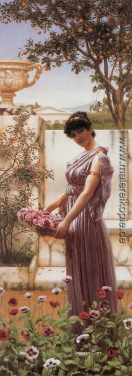 Die Blumen der Venus Die Blumen der Venus