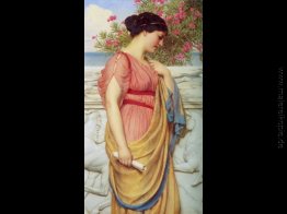 Sappho Sappho