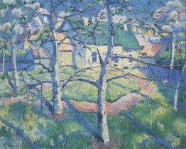 Apfelbäume in der Blüte Apfelbäume in der Blüte