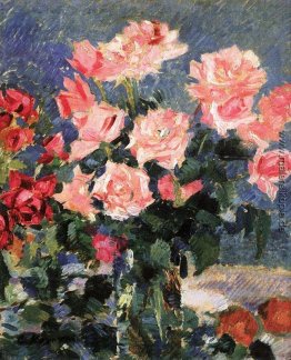 Roses Roses