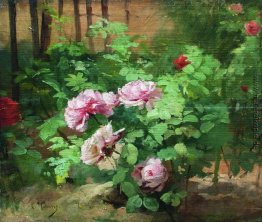 Roses Roses