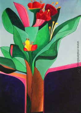 Flores Flores