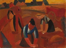 Kartoffelernte Kartoffelernte