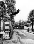 Yves Klein Yves Klein