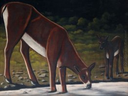 Reh mit Kitz am Bach Reh mit Kitz am Bach