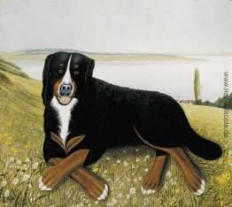 Balbo liegend auf dem Rasen Balbo liegend auf dem Rasen