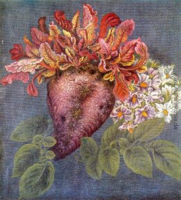 Stillleben "Beet" Stillleben "Beet"