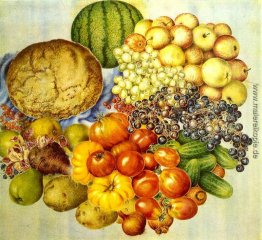 Stillleben Stillleben