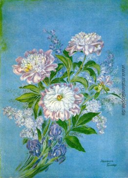 Pfingstrosen Pfingstrosen