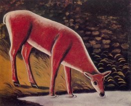 Reh von einem Creek Reh von einem Creek