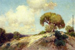 Sunlit Hillside Sunlit Hillside