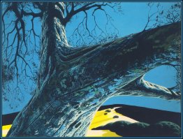 Distant Meadow Distant Meadow