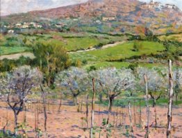 Die grünen Felder des Tobbiana Die grünen Felder des Tobbiana