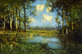 Die Woodland Pool Die Woodland Pool