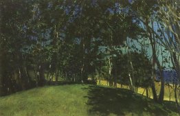 Hain an der Küste. Sillamyagi Hain an der Küste. Sillamyagi