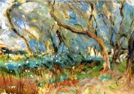 Landschaft Landschaft