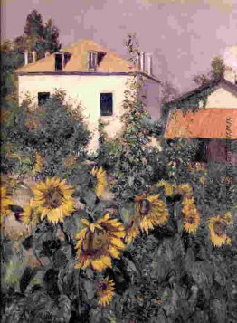 Sonnenblumen im Garten in Petit Gennevilliers Sonnenblumen im Garten in Petit Gennevilliers