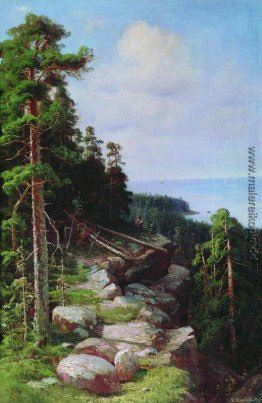 Über die Böschung Über die Böschung