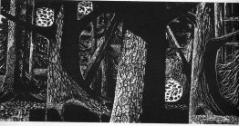 Abendspaziergang Abendspaziergang