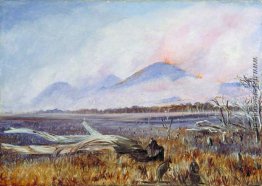 Ein Buschfeuer am Sonnenuntergang, Queensland Ein Buschfeuer am Sonnenuntergang, Queensland