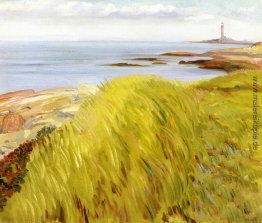 Grassy Dunes, Gloucester Grassy Dunes, Gloucester