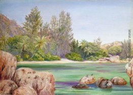 Das Leben an der Küste von Praslin, Seychellen Das Leben an der Küste von Praslin, Seychellen