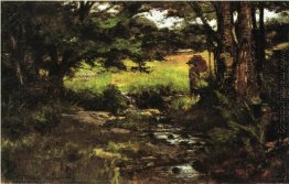 Brook in Woods Brook in Woods