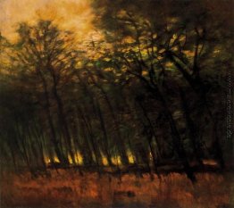 Feuer im Wald Feuer im Wald
