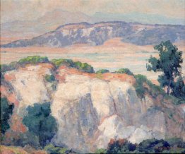 Torrey Pines Torrey Pines