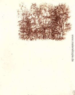 Birkenwäldchen Birkenwäldchen