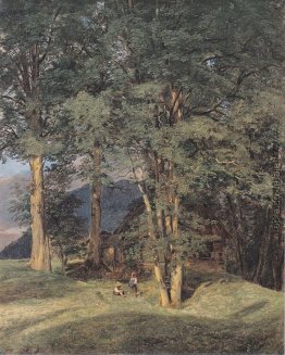 Ahornbäume in der Nähe Ischl Ahornbäume in der Nähe Ischl