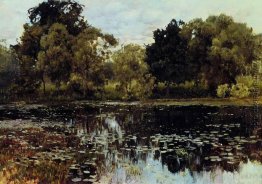Overgrown Teich Overgrown Teich