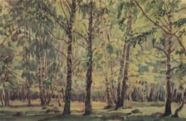 Birch Grove Birch Grove