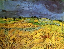 Die Felder Die Felder