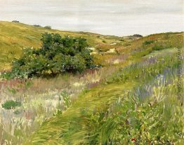 Landschaft, Shinnecock Hills Landschaft, Shinnecock Hills