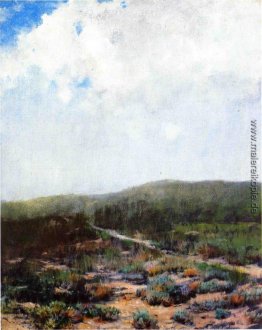 Dünen an Shinnecock Dünen an Shinnecock