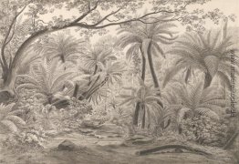 Ferntree oder Dobson Gully, Dandenong Ranges Ferntree oder Dobson Gully, Dandenong Ranges