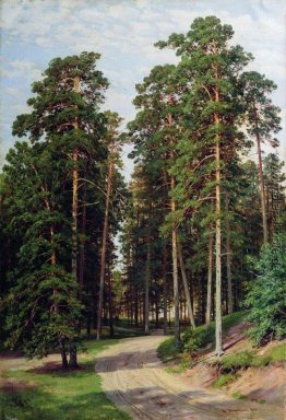 Die Sonne in den Wald Die Sonne in den Wald